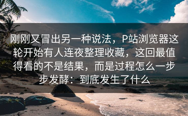 刚刚又冒出另一种说法，P站浏览器这轮开始有人连夜整理收藏，这回最值得看的不是结果，而是过程怎么一步步发酵：到底发生了什么