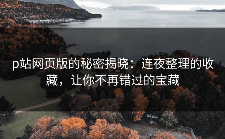 p站网页版的秘密揭晓:连夜整理的收藏,让你不再错过的宝藏 p站网页版的秘密揭晓:连夜整理的收藏,让你不再错过的宝藏