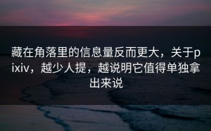 藏在角落里的信息量反而更大，关于pixiv，越少人提，越说明它值得单独拿出来说