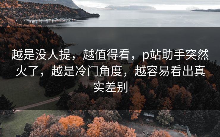 越是没人提，越值得看，p站助手突然火了，越是冷门角度，越容易看出真实差别